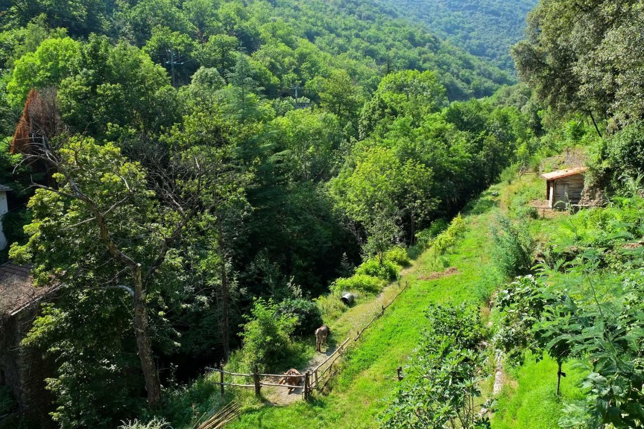 Bed and Breakfast Le Clarou Valleraugue Exterior foto